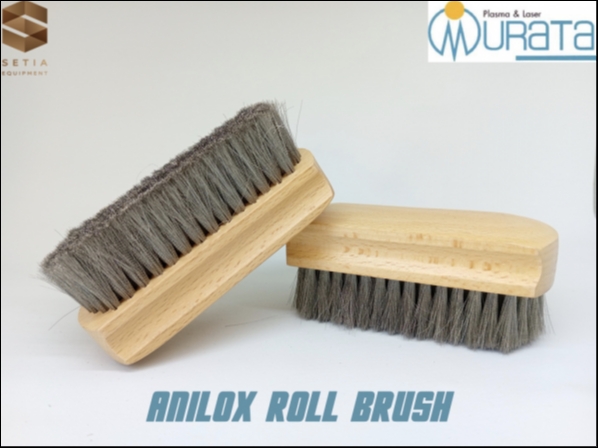 Anilox Roll Brush